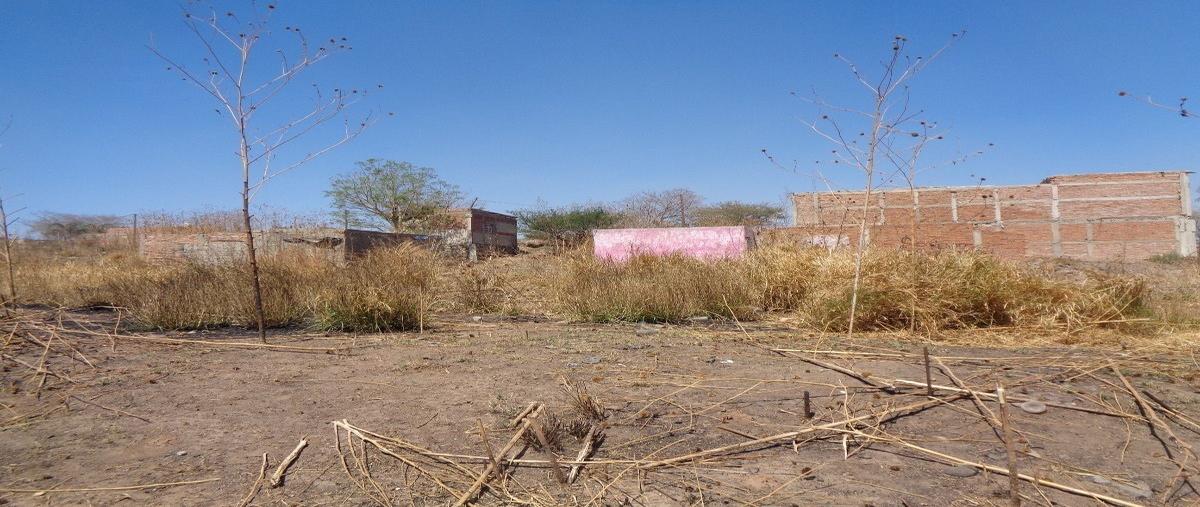 Foto de terreno habitacional en venta en camino a san juan , san juan, san pedro tlaquepaque, jalisco, 20177106 No. 04