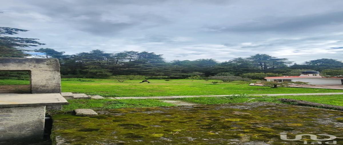 Foto de rancho en venta en camino a san juan tepecoculco , san juan, atlautla, méxico, 30367834 No. 04