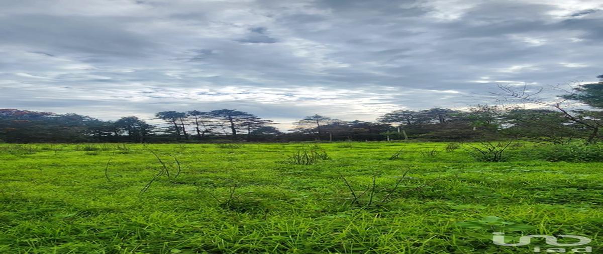 Foto de rancho en venta en camino a san juan tepecoculco , san juan, atlautla, méxico, 30367834 No. 05