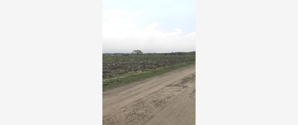 Foto de terreno habitacional en camino a san lucas amalinalco , san gregorio cuautzingo, chalco, méxico, 0 foto 01 Foto de terreno habitacional en venta en camino a san lucas amalinalco , san gregorio cuautzingo, chalco, méxico, 0 No. 01