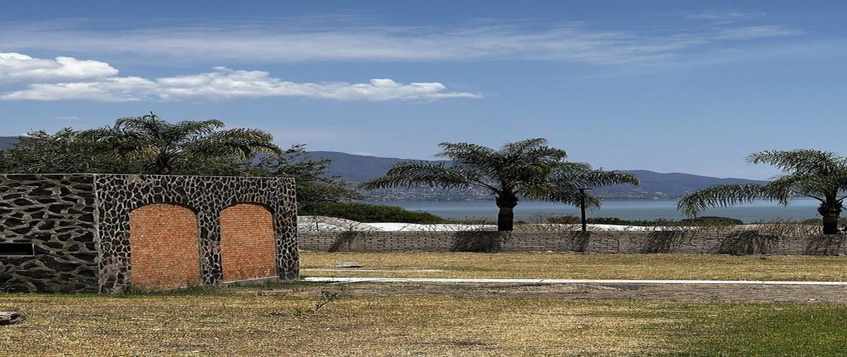 Foto de terreno habitacional en camino a san martín , la loma, jocotepec, jalisco, 0 foto 06 Foto de terreno habitacional en venta en camino a san martín , la loma, jocotepec, jalisco, 0 No. 06