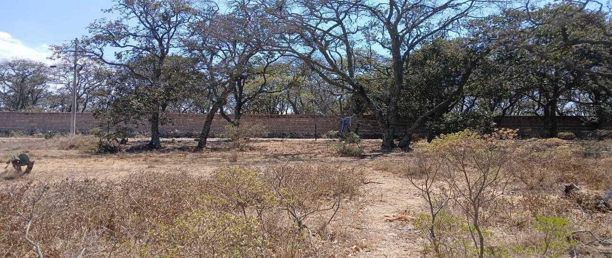 Foto de terreno habitacional en camino a san pedro tenango , san pedro tenango, amealco de bonfil, querétaro, 29896746 foto 05 Foto de terreno habitacional en venta en camino a san pedro tenango , san pedro tenango, amealco de bonfil, querétaro, 29896746 No. 05