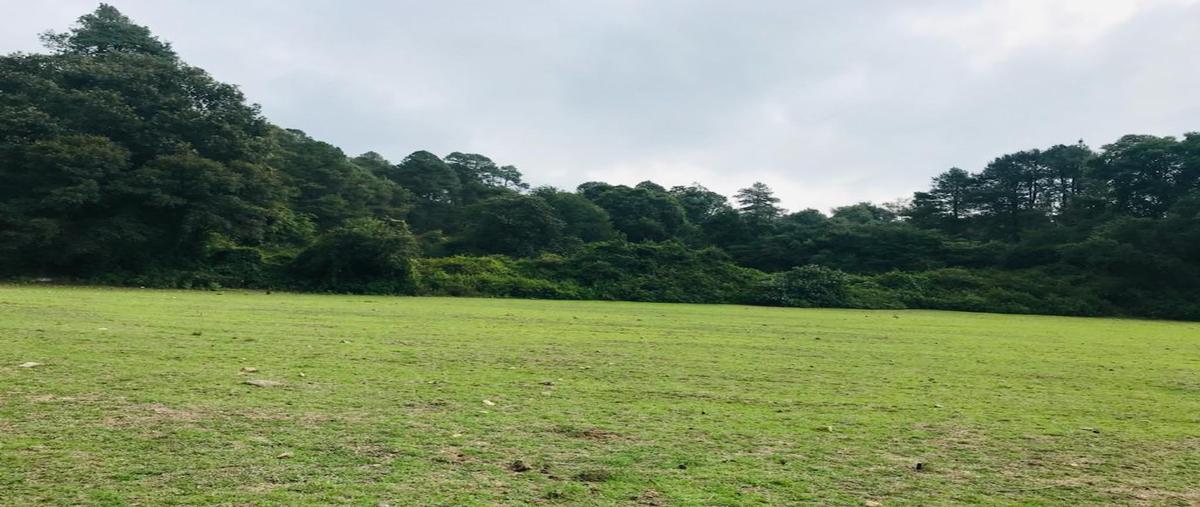 Foto de terreno habitacional en venta en camino a san sebastián el grande, cuarta sección , amanalco de becerra, amanalco, méxico, 25165518 No. 04
