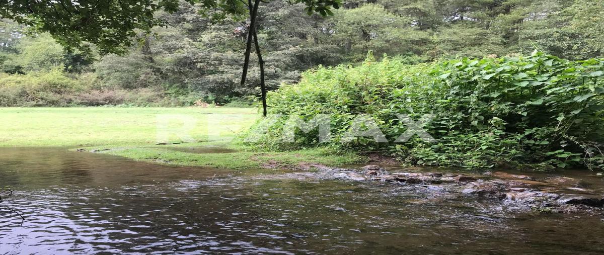 Foto de terreno habitacional en camino a san sebastián , polvillos (san bartolo quinta sección), amanalco, méxico, 0 foto 05 Foto de terreno habitacional en venta en camino a san sebastián , polvillos (san bartolo quinta sección), amanalco, méxico, 0 No. 05