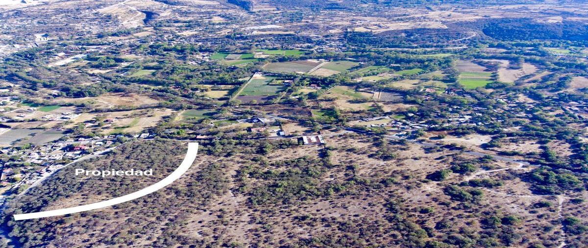 Foto de terreno habitacional en venta en camino a santa maría , cañada de madero, tepeji del río de ocampo, hidalgo, 25433649 No. 03