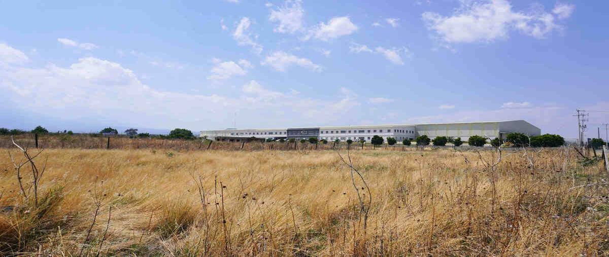 Foto de terreno industrial en venta en camino a santa rita , lomas de axocopan, atlixco, puebla, 28426700 No. 03