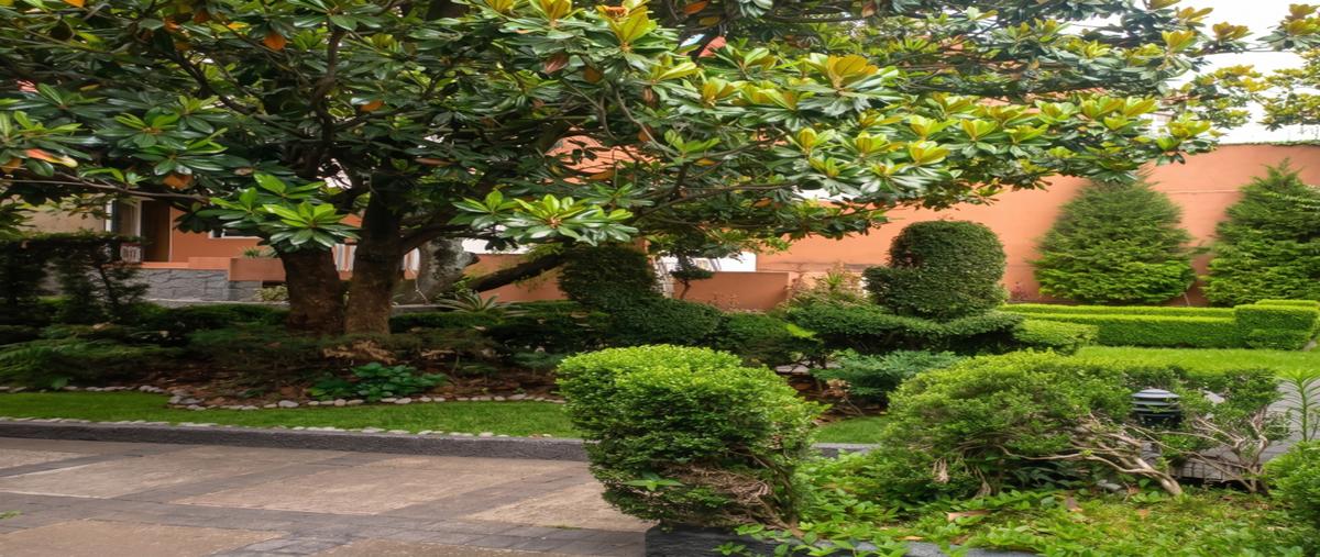 Foto de casa en camino a santa teresa , jardines del pedregal, álvaro obregón, df / cdmx, 0 foto 06 Foto de casa en venta en camino a santa teresa , jardines del pedregal, álvaro obregón, df / cdmx, 0 No. 06