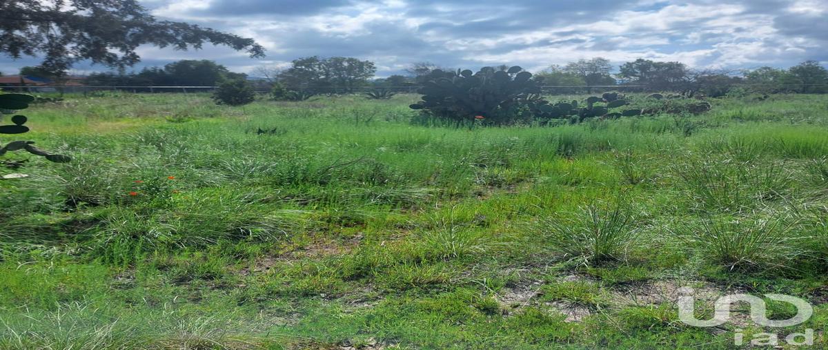 Foto de terreno habitacional en venta en camino a santo domingo , río seco puente de doria, huasca de ocampo, hidalgo, 30885216 No. 05