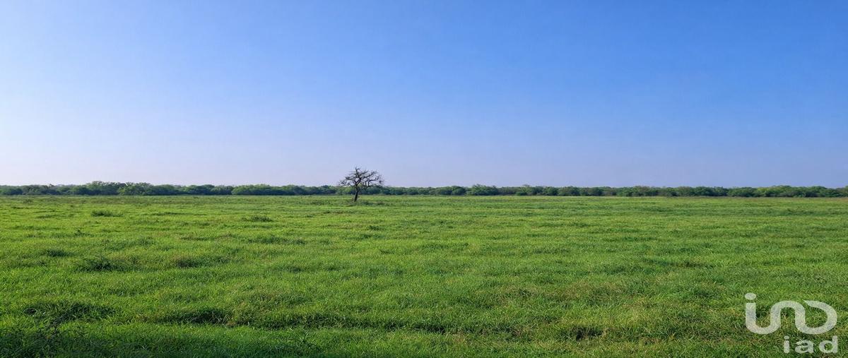 Foto de rancho en camino a soledad herrera 115, soledad herrera (sabinos), cadereyta jiménez, nuevo león, 30934801 foto 02 Foto de rancho en venta en camino a soledad herrera 115, soledad herrera (sabinos), cadereyta jiménez, nuevo león, 30934801 No. 02