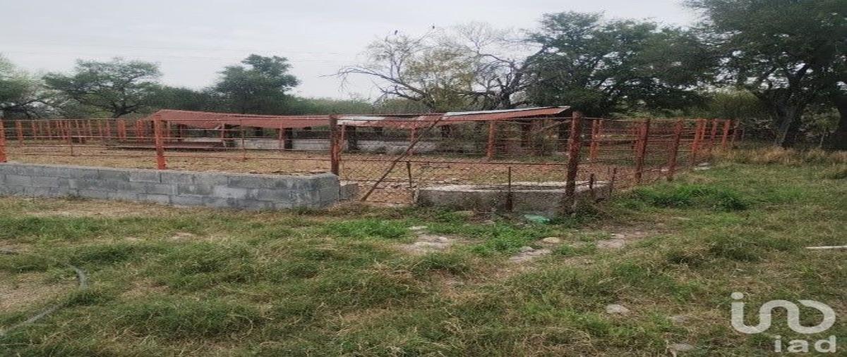 Foto de rancho en venta en camino a soledad herrera 78, soledad herrera (sabinos), cadereyta jiménez, nuevo león, 30934801 No. 05