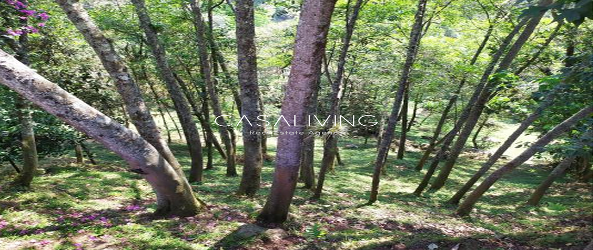 Foto de terreno habitacional en venta en camino a tepexiyaba , emiliano zapata, xico, veracruz de ignacio de la llave, 0 No. 03
