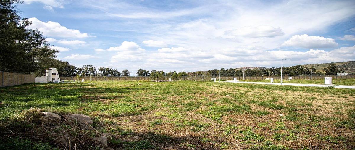 Foto de terreno habitacional en venta en camino a tolometla , atlixco 90, atlixco, puebla, 26855823 No. 04