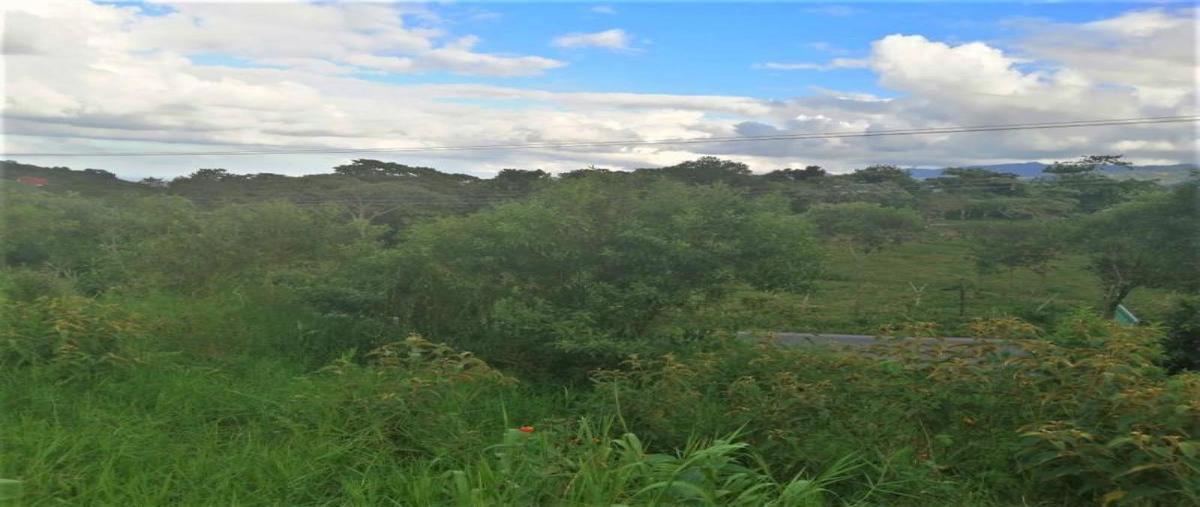 Foto de terreno habitacional en venta en camino a tzinacapan 101, ciudad de cuetzalan, cuetzalan del progreso, puebla, 0 No. 04