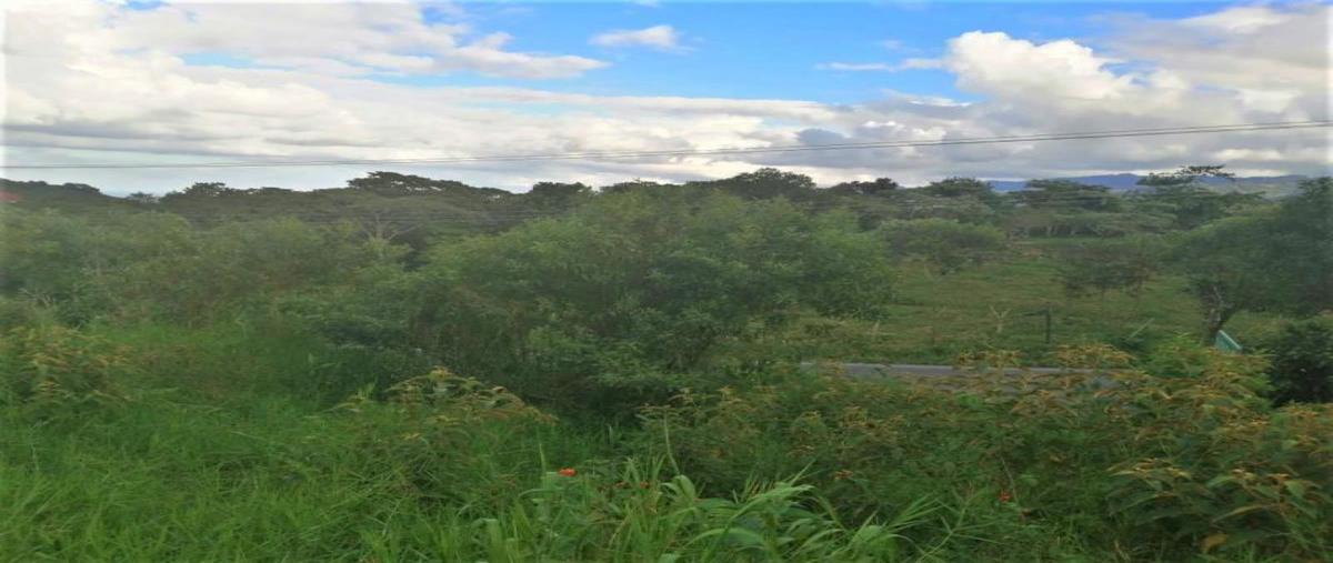 Foto de terreno habitacional en venta en camino a tzinacapan 101, ciudad de cuetzalan, cuetzalan del progreso, puebla, 0 No. 05