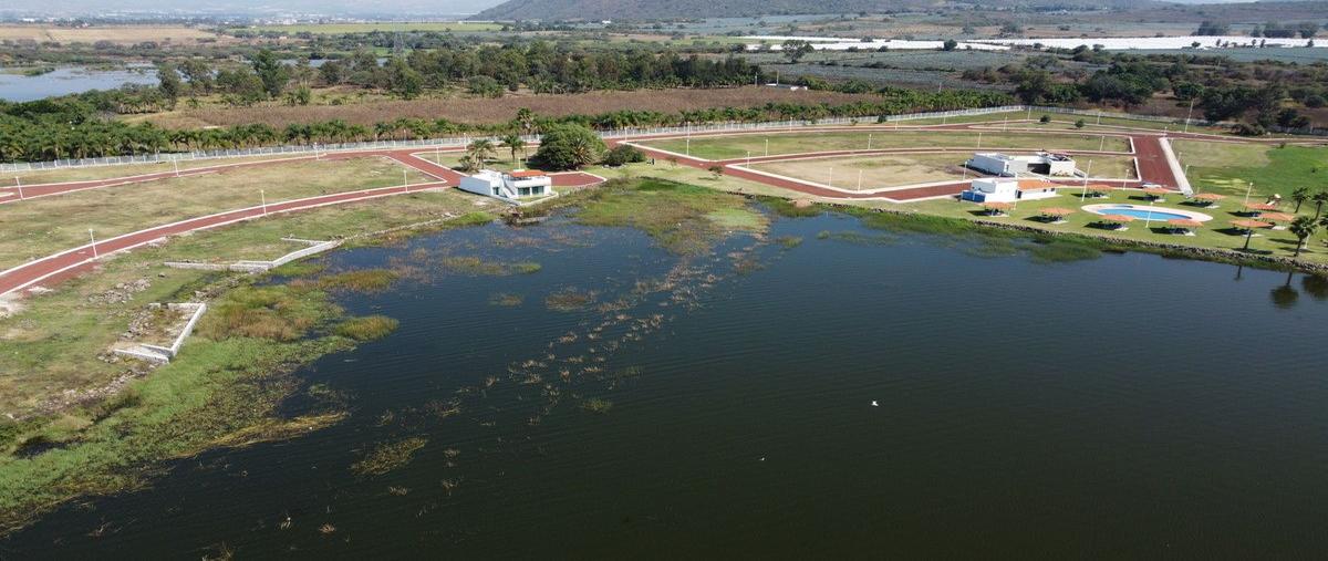 Foto de terreno habitacional en camino a valencia , san pedro valencia, acatlán de juárez, jalisco, 27404165 foto 04 Foto de terreno habitacional en venta en camino a valencia , san pedro valencia, acatlán de juárez, jalisco, 27404165 No. 04