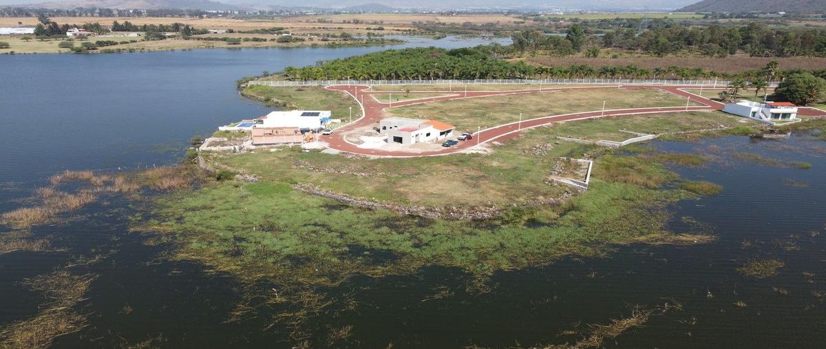 Foto de terreno habitacional en camino a valencia , san pedro valencia, acatlán de juárez, jalisco, 27404165 foto 05 Foto de terreno habitacional en venta en camino a valencia , san pedro valencia, acatlán de juárez, jalisco, 27404165 No. 05