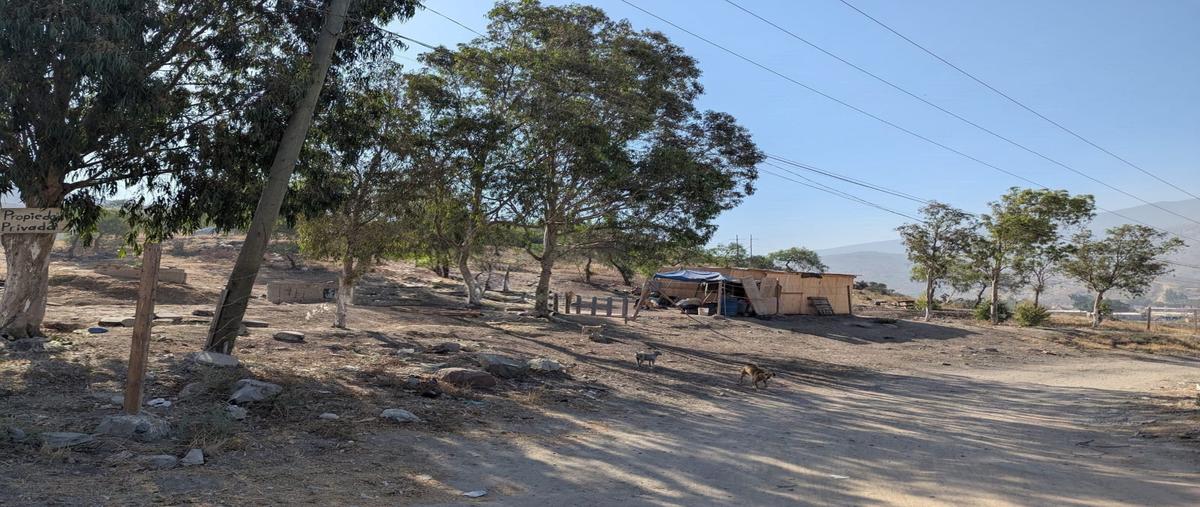 Foto de terreno habitacional en camino a valle de las palmas , quintas campestre el refugio, tijuana, baja california, 0 foto 01 Foto de terreno habitacional en venta en camino a valle de las palmas , quintas campestre el refugio, tijuana, baja california, 0 No. 01