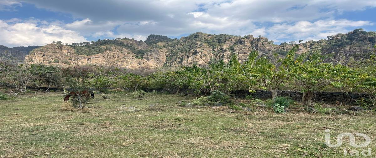 Foto de terreno habitacional en camino a xaltitla , santo domingo ocotitlán, tepoztlán, morelos, 29408974 foto 03 Foto de terreno habitacional en venta en camino a xaltitla , santo domingo ocotitlán, tepoztlán, morelos, 29408974 No. 03