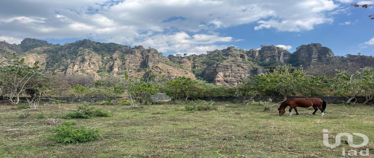 Foto de terreno habitacional en camino a xaltitla , santo domingo ocotitlán, tepoztlán, morelos, 29408974 foto 04 Foto de terreno habitacional en venta en camino a xaltitla , santo domingo ocotitlán, tepoztlán, morelos, 29408974 No. 04