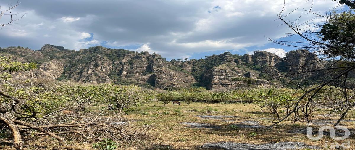 Foto de terreno habitacional en venta en camino a xaltitla , santo domingo ocotitlán, tepoztlán, morelos, 29408974 No. 05
