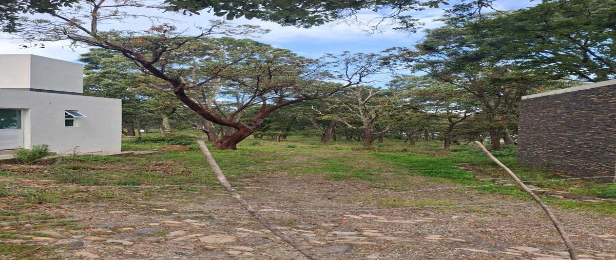 Foto de terreno habitacional en venta en camino a yolostaatemajac de brizuela , atemajac de brizuela, atemajac de brizuela, jalisco, 0 No. 03