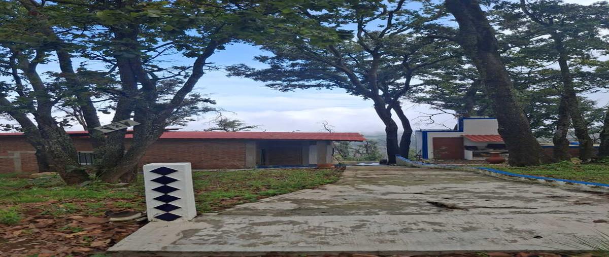 Foto de terreno habitacional en venta en camino a yolostaatemajac de brizuela , atemajac de brizuela, atemajac de brizuela, jalisco, 0 No. 05