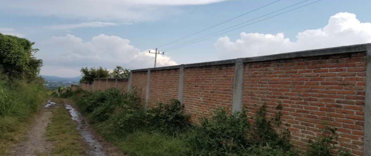 Foto de terreno habitacional en venta en camino a zapotlanejo , el vado, tonalá, jalisco, 0 No. 03
