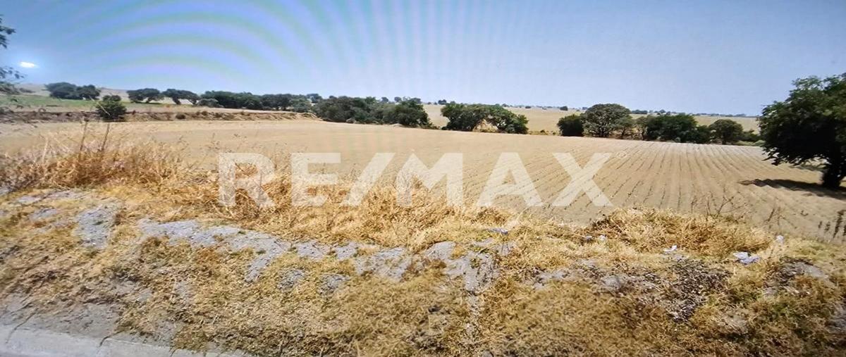 Foto de terreno habitacional en venta en camino a zaragoza el charco , el calvario, calimaya, méxico, 0 No. 04