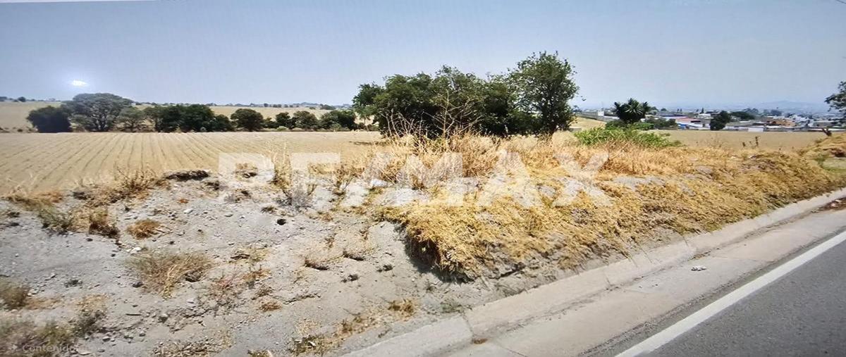 Foto de terreno habitacional en venta en camino a zaragoza el charco , el calvario, calimaya, méxico, 0 No. 05