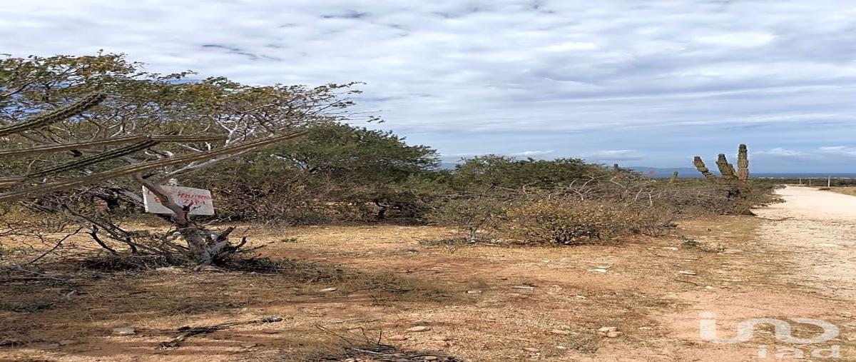 Foto de terreno habitacional en venta en camino aa la turquesa 867, la ventana, la paz, baja california sur, 30555704 No. 03