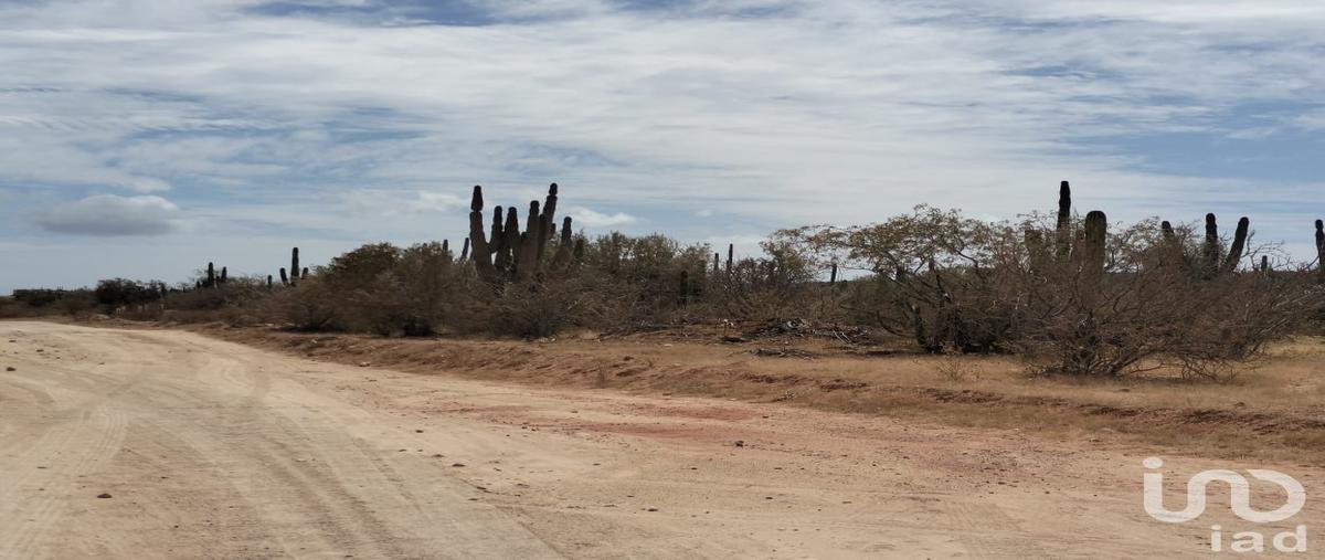 Foto de terreno habitacional en camino aa la turquesa 911, la ventana, la paz, baja california sur, 30555704 foto 02 Foto de terreno habitacional en venta en camino aa la turquesa 911, la ventana, la paz, baja california sur, 30555704 No. 02