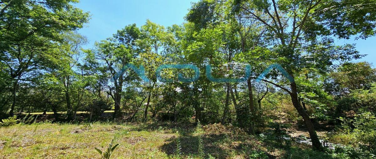 Foto de terreno habitacional en venta en camino al aguacate , valle de bravo, valle de bravo, méxico, 27589944 No. 03