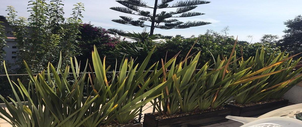 Foto de departamento en renta en camino al cedral , san andrés totoltepec, tlalpan, df / cdmx, 0 No. 03