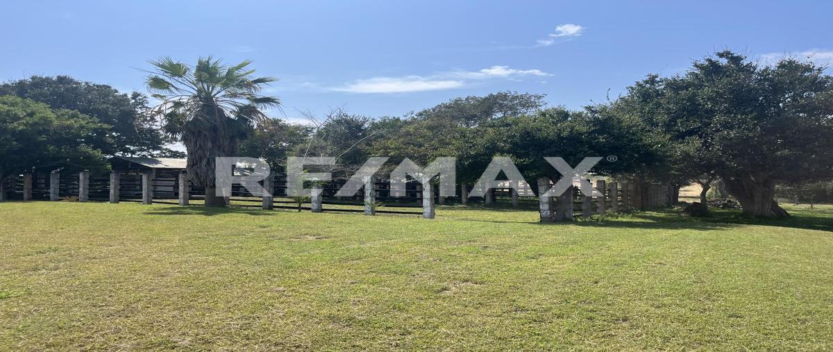 Foto de terreno habitacional en venta en camino al cementerio , buenavista, tampico alto, veracruz de ignacio de la llave, 29233821 No. 03