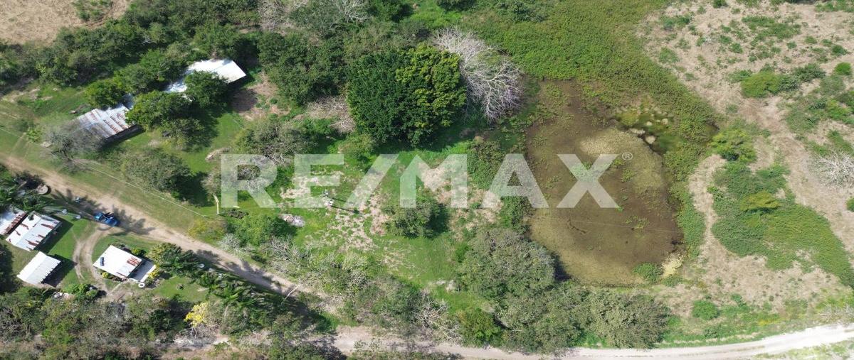 Foto de terreno habitacional en venta en camino al cementerio , buenavista, tampico alto, veracruz de ignacio de la llave, 29233821 No. 04
