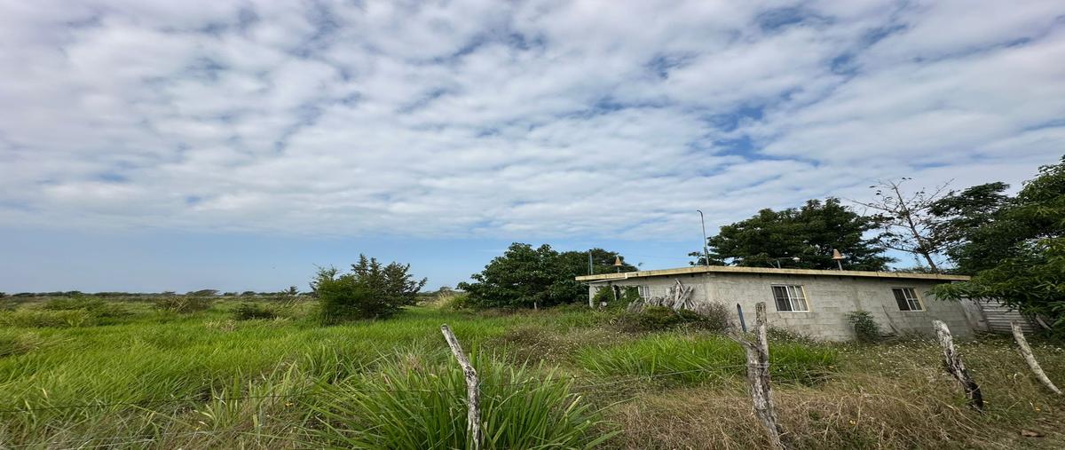 Foto de terreno habitacional en camino al cementerio , buenavista, tampico alto, veracruz de ignacio de la llave, 29291723 foto 01 Foto de terreno habitacional en venta en camino al cementerio , buenavista, tampico alto, veracruz de ignacio de la llave, 29291723 No. 01