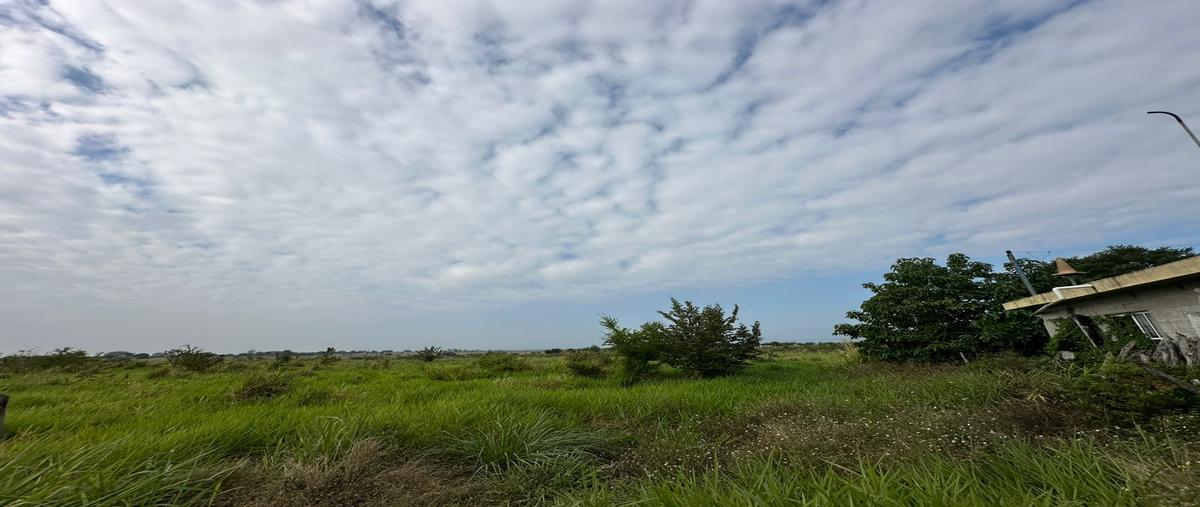 Foto de terreno habitacional en camino al cementerio , buenavista, tampico alto, veracruz de ignacio de la llave, 29291723 foto 02 Foto de terreno habitacional en venta en camino al cementerio , buenavista, tampico alto, veracruz de ignacio de la llave, 29291723 No. 02