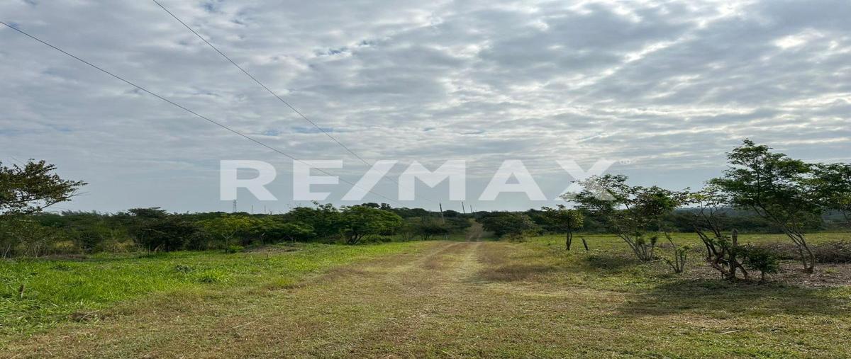 Foto de terreno habitacional en venta en camino al cementerio , buenavista, tampico alto, veracruz de ignacio de la llave, 0 No. 04