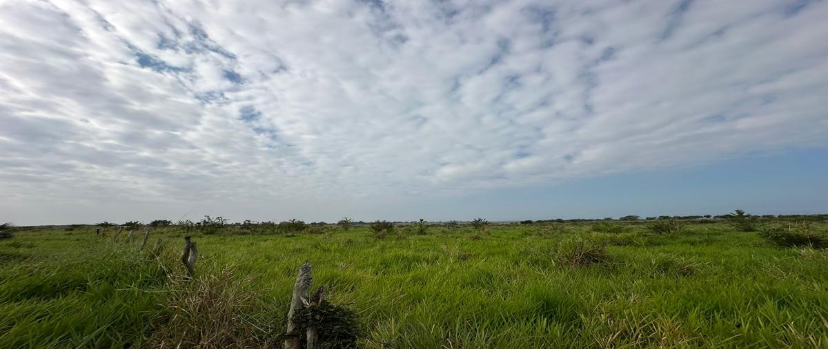 Foto de terreno habitacional en camino al cementerio , buenavista, tampico alto, veracruz de ignacio de la llave, 29291723 foto 05 Foto de terreno habitacional en venta en camino al cementerio , buenavista, tampico alto, veracruz de ignacio de la llave, 29291723 No. 05