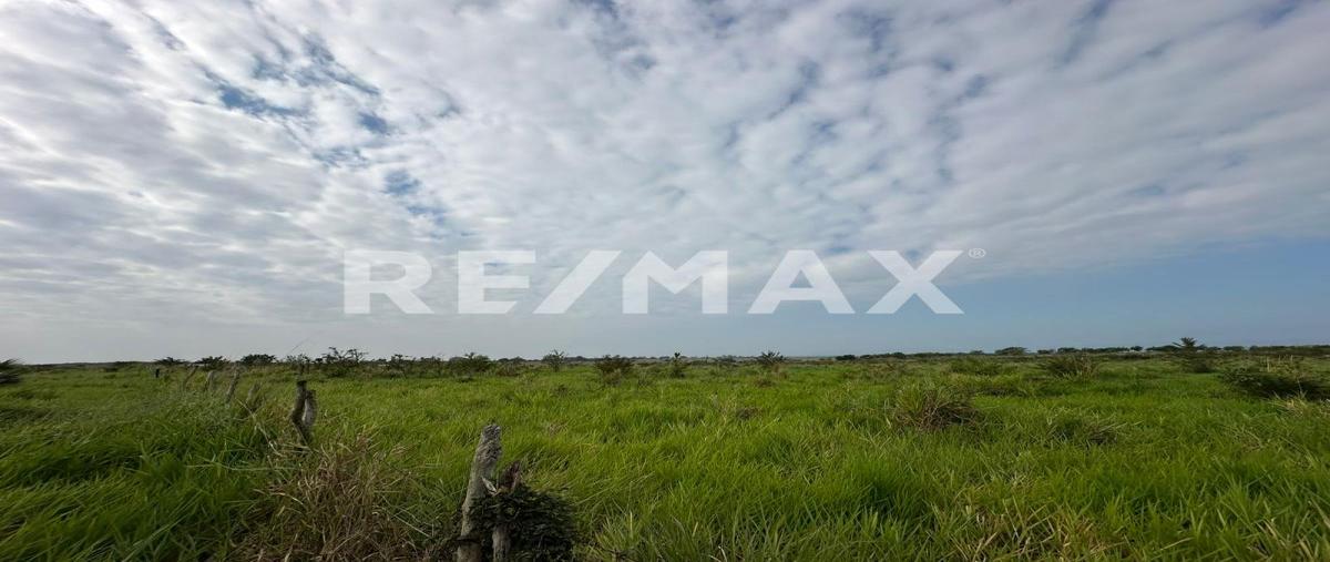Foto de terreno habitacional en venta en camino al cementerio , buenavista, tampico alto, veracruz de ignacio de la llave, 0 No. 05