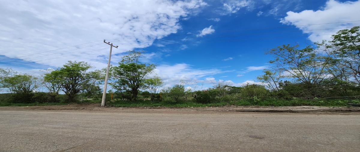 Foto de terreno industrial en camino al chocolate , francisco medrano, altamira, tamaulipas, 28174283 foto 03 Foto de terreno industrial en renta en camino al chocolate , francisco medrano, altamira, tamaulipas, 28174283 No. 03