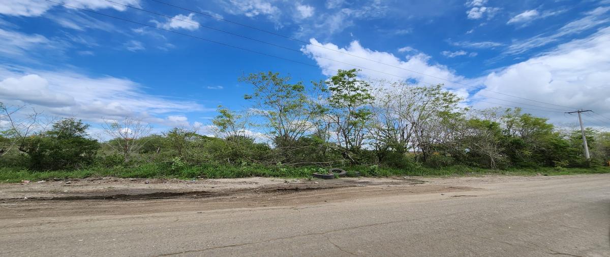 Foto de terreno industrial en camino al chocolate , francisco medrano, altamira, tamaulipas, 28174283 foto 05 Foto de terreno industrial en renta en camino al chocolate , francisco medrano, altamira, tamaulipas, 28174283 No. 05