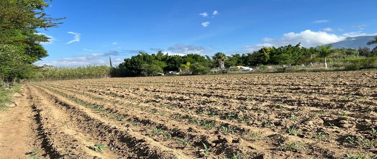 Foto de terreno habitacional en venta en camino al cura , la trinidad, tlalixtac de cabrera, oaxaca, 28770106 No. 03