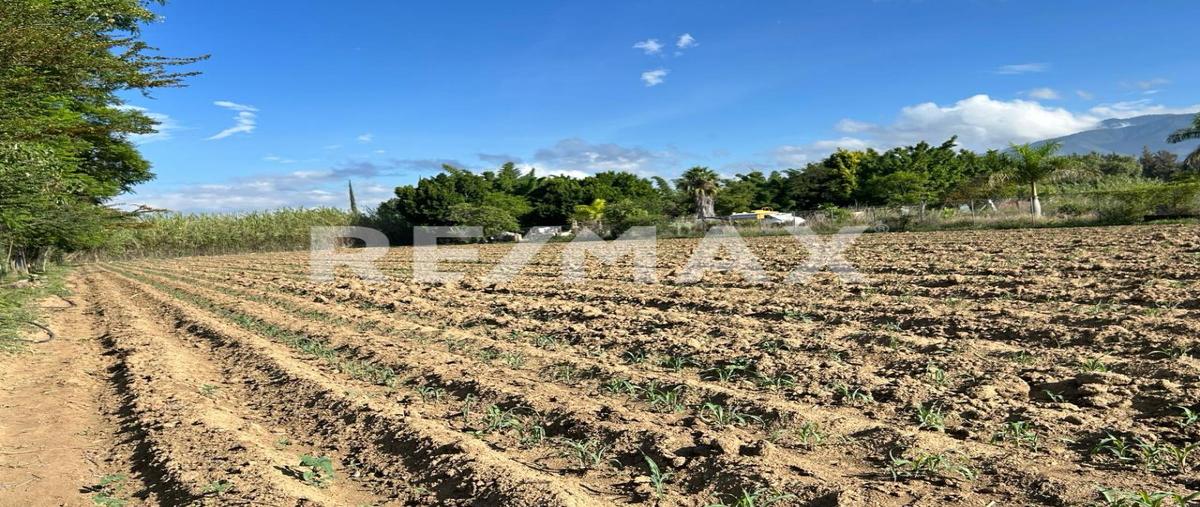 Foto de terreno habitacional en venta en camino al cura , la trinidad, tlalixtac de cabrera, oaxaca, 0 No. 03