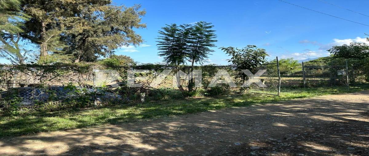 Foto de terreno habitacional en venta en camino al cura , la trinidad, tlalixtac de cabrera, oaxaca, 0 No. 05