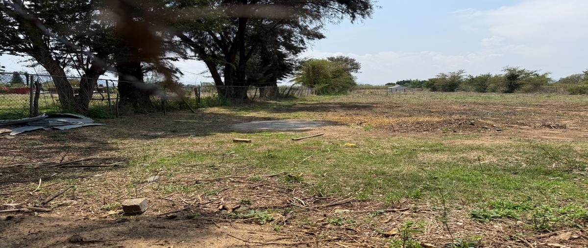 Foto de terreno habitacional en venta en camino al cura , la trinidad, tlalixtac de cabrera, oaxaca, 30527694 No. 04