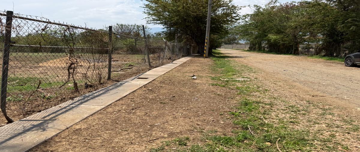 Foto de terreno habitacional en venta en camino al cura , la trinidad, tlalixtac de cabrera, oaxaca, 30527694 No. 05