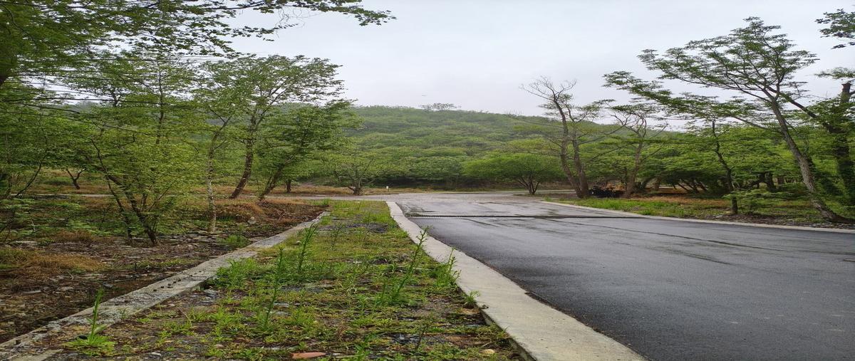Foto de terreno habitacional en venta en camino al diente , portal de valle alto, monterrey, nuevo león, 0 No. 03