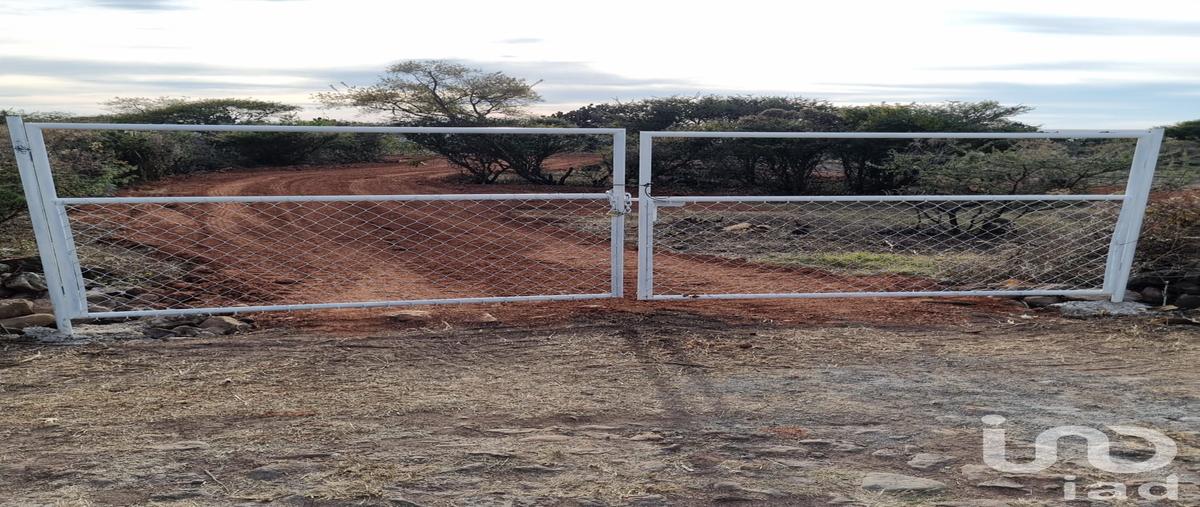 Foto de terreno habitacional en venta en camino al herrero , la palmita dos, san miguel de allende, guanajuato, 0 No. 04