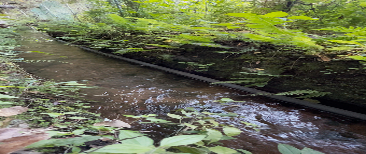 Foto de terreno industrial en camino al manzano , cerro gordo, valle de bravo, méxico, 29905107 foto 03 Foto de terreno industrial en venta en camino al manzano , cerro gordo, valle de bravo, méxico, 29905107 No. 03